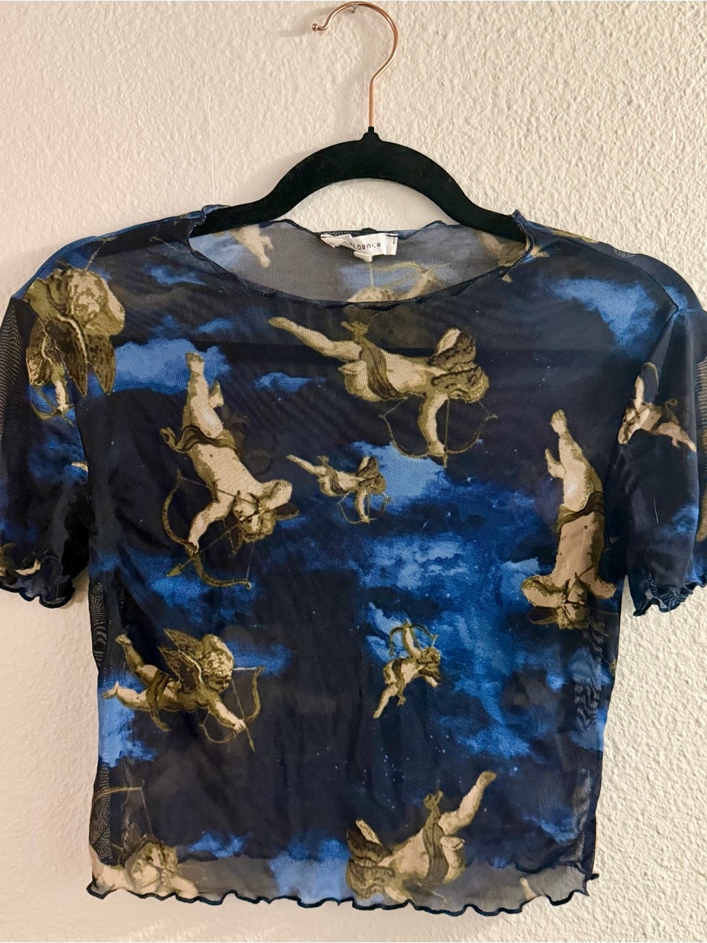 cupid cherub sheer crop top